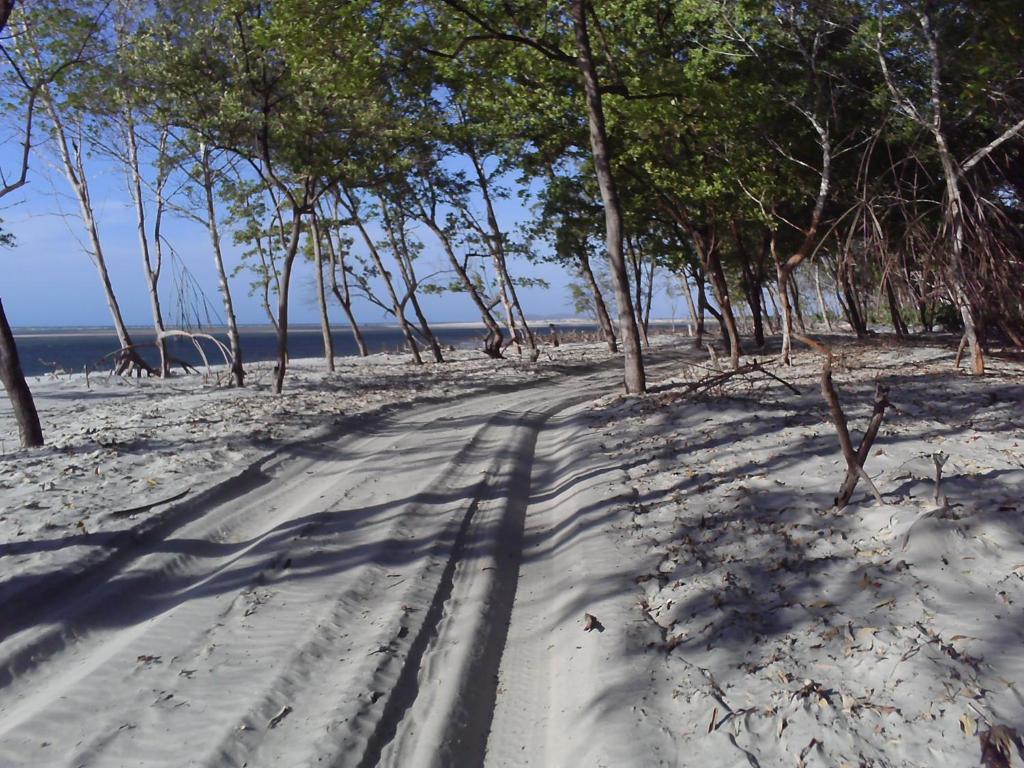 Pousada Alquimia Jijoca de Jericoacoara Exterior foto